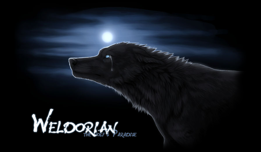 ☽ Weldorian ☾ - the Wolf's paradise...